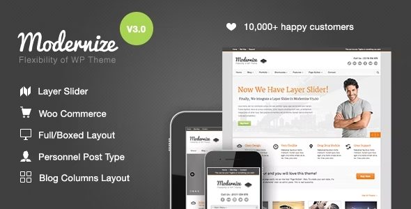 Modernize nulled theme