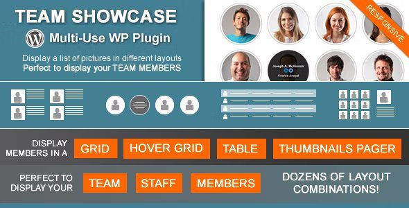 Team Showcase nulled plugin